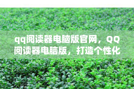 qq阅读器电脑版官网，QQ阅读器电脑版，打造个性化阅读新体验