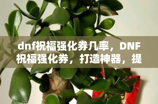 dnf祝福强化券几率，DNF祝福强化券，打造神器，提升战力！
