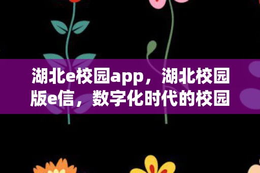 湖北e校园app，湖北校园版e信，数字化时代的校园通信新选择