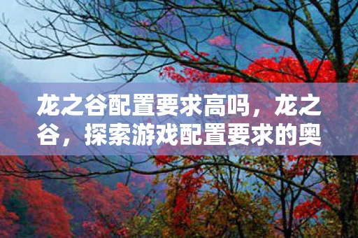 龙之谷配置要求高吗，龙之谷，探索游戏配置要求的奥秘