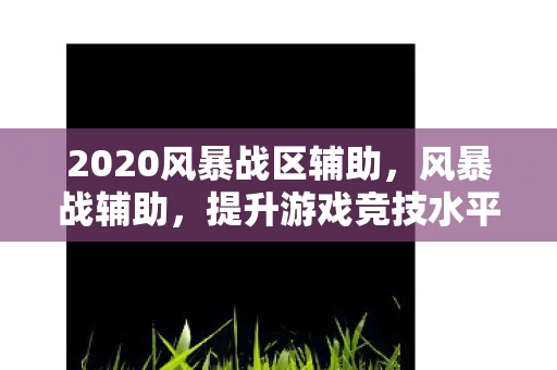 2020风暴战区辅助，风暴战辅助，提升游戏竞技水平的关键工具