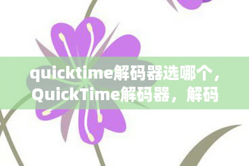 quicktime解码器选哪个，QuickTime解码器，解码多媒体文件的得力助手