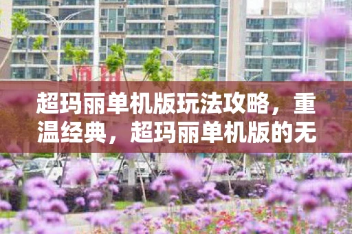 超玛丽单机版玩法攻略，重温经典，超玛丽单机版的无尽乐趣