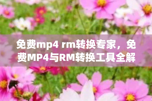 免费mp4 rm转换专家,免费MP4与RM转换工具全解析,高效、易用、免费转换你的视频格式 免费mp4 rm转换专家,免费MP4与RM转换工具全解析,高效、易用、免费转换你的视频格式