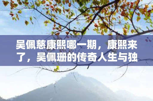 吴佩慈康熙哪一期，康熙来了，吴佩珊的传奇人生与独特魅力