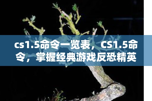 cs1.5命令一览表，CS1.5命令，掌握经典游戏反恐精英中的关键指令