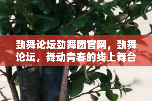 劲舞论坛劲舞团官网,劲舞论坛,舞动青春的线上舞台 劲舞论坛劲舞团官网,劲舞论坛,舞动青春的线上舞台