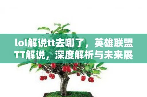 lol解说tt去哪了，英雄联盟TT解说，深度解析与未来展望
