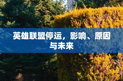 英雄联盟停运图片