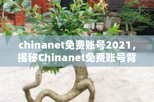 chinanet免费账号2021，揭秘Chinanet免费账号背后的真相