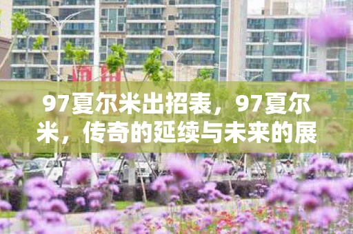 97夏尔米出招表，97夏尔米，传奇的延续与未来的展望