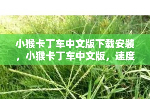 小猴卡丁车中文版下载安装，小猴卡丁车中文版，速度与激情的奇妙融合