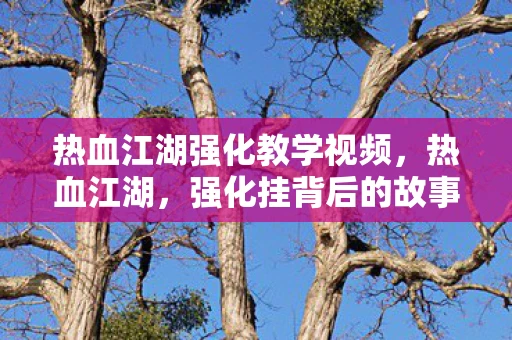 热血江湖强化教学视频,热血江湖,强化挂背后的故事与争议 热血江湖强化教学视频,热血江湖,强化挂背后的故事与争议