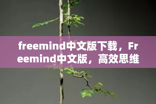 freemind中文版下载,Freemind中文版,高效思维工具,助力创意无限 freemind中文版下载,Freemind中文版,高效思维工具,助力创意无限