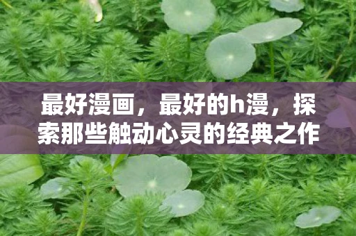 最好漫画，最好的h漫，探索那些触动心灵的经典之作