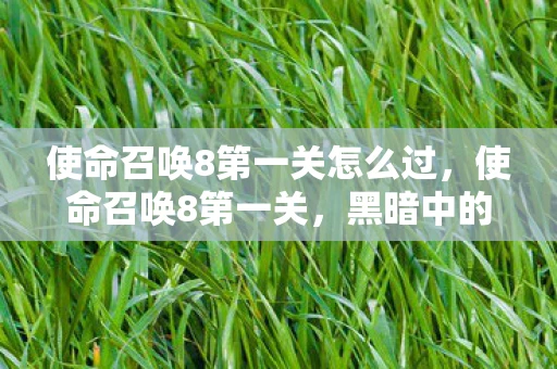 使命召唤8第一关怎么过，使命召唤8第一关，黑暗中的曙光