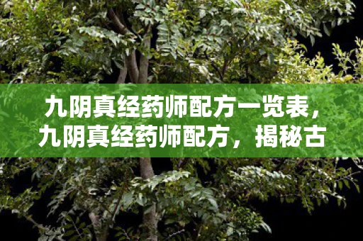 九阴真经药师配方一览表,九阴真经药师配方,揭秘古代医学的神奇智慧 九阴真经药师配方一览表,九阴真经药师配方,揭秘古代医学的神奇智慧
