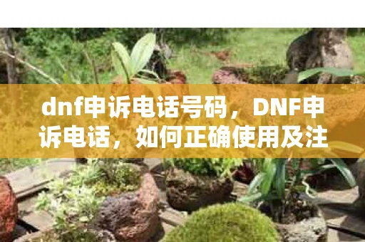 dnf申诉电话号码，DNF申诉电话，如何正确使用及注意事项