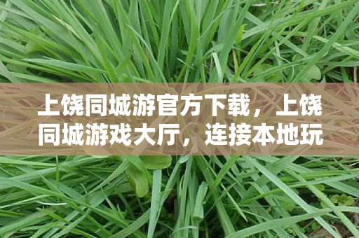 上饶同城游官方下载，上饶同城游戏大厅，连接本地玩家的欢乐平台