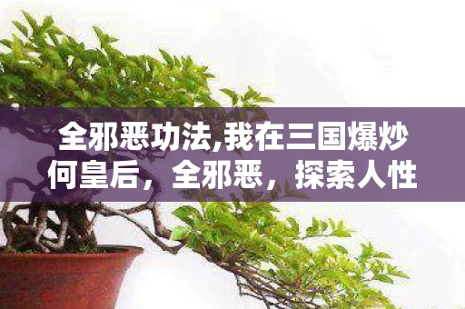 全邪恶功法,我在三国爆炒何皇后，全邪恶，探索人性中的黑暗面