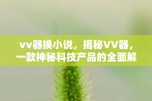 vv器换小说,揭秘VV器,一款神秘科技产品的全面解析 vv器换小说,揭秘VV器,一款神秘科技产品的全面解析