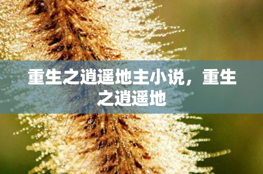 重生之逍遥地主小说，重生之逍遥地
