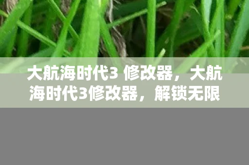 大航海时代3 修改器，大航海时代3修改器，解锁无限可能的航海之旅