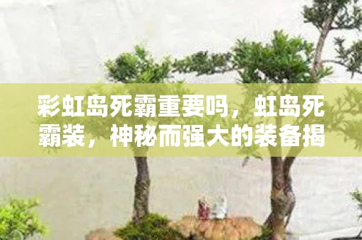 彩虹岛死霸重要吗，虹岛死霸装，神秘而强大的装备揭秘