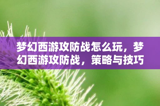 梦幻西游攻防战怎么玩,梦幻西游攻防战,策略与技巧的完美融合 梦幻西游攻防战怎么玩,梦幻西游攻防战,策略与技巧的完美融合
