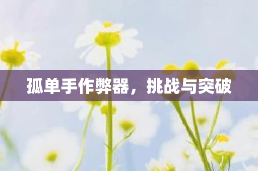 孤单手作弊器,挑战与突破 孤单手作弊器,挑战与突破