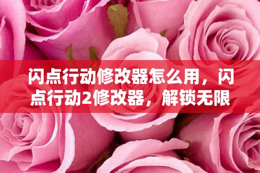 闪点行动修改器怎么用，闪点行动2修改器，解锁无限可能的战争模拟游戏