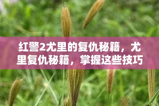 红警2尤里的复仇秘籍，尤里复仇秘籍，掌握这些技巧，轻松称霸红色警戒2