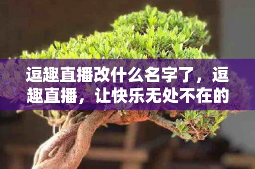 逗趣直播改什么名字了，逗趣直播，让快乐无处不在的直播新体验