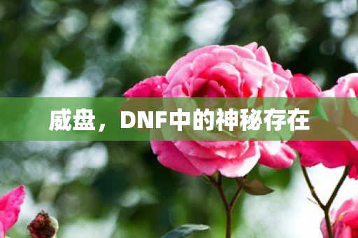 威盘，DNF中的神秘存在
