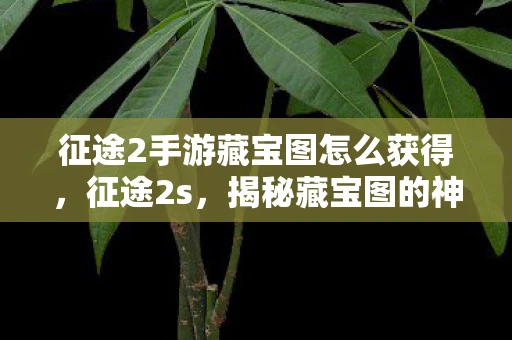 征途2手游藏宝图怎么获得，征途2s，揭秘藏宝图的神秘之旅