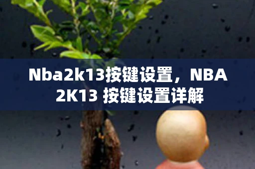 Nba2k13按键设置，NBA 2K13 按键设置详解