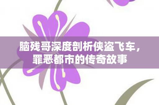 脑残哥深度剖析侠盗飞车图片