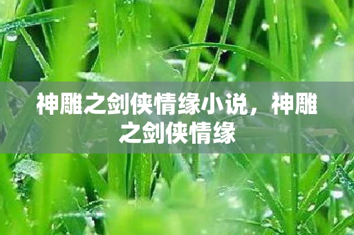 神雕之剑侠情缘小说，神雕之剑侠情缘