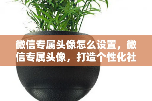 微信专属头像怎么设置,微信专属头像,打造个性化社交形象 微信专属头像怎么设置,微信专属头像,打造个性化社交形象