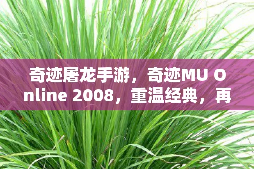 奇迹屠龙手游，奇迹MU Online 2008，重温经典，再燃激情