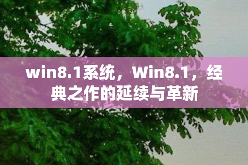 win8.1系统，Win8.1，经典之作的延续与革新