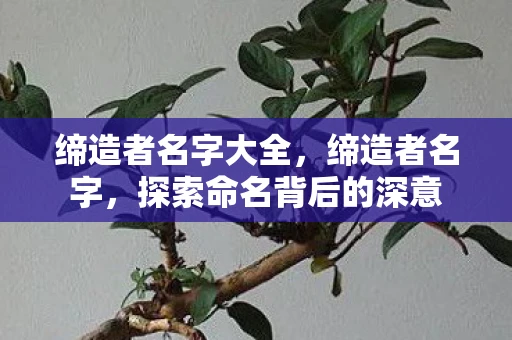 缔造者名字大全，缔造者名字，探索命名背后的深意