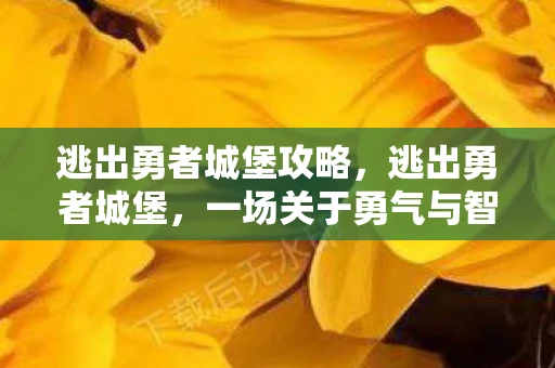 逃出勇者城堡攻略,逃出勇者城堡,一场关于勇气与智慧的冒险 逃出勇者城堡攻略,逃出勇者城堡,一场关于勇气与智慧的冒险