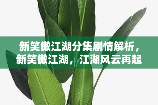 新笑傲江湖分集剧情解析，新笑傲江湖，江湖风云再起，爱恨情仇交织