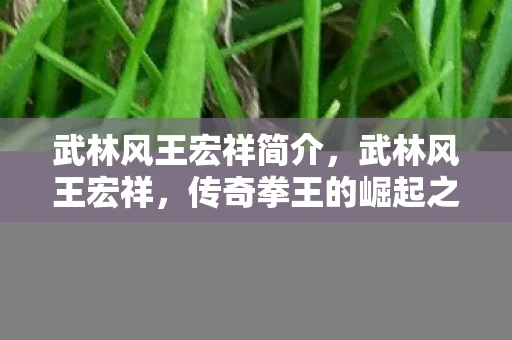 武林风王宏祥简介，武林风王宏祥，传奇拳王的崛起之路