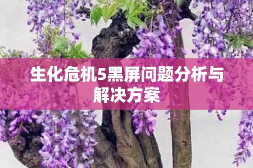 生化危机5黑屏问题分析与解决方案图片