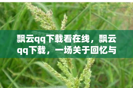 飘云qq下载看在线，飘云qq下载，一场关于回忆与传承的旅程