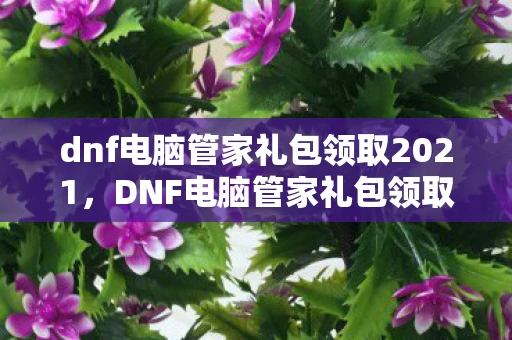 dnf电脑管家礼包领取2021,DNF电脑管家礼包领取全攻略,打造你的专属游戏福利! dnf电脑管家礼包领取2021,DNF电脑管家礼包领取全攻略,打造你的专属游戏福利!