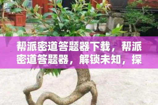 帮派密道答题器下载，帮派密道答题器，解锁未知，探索智慧的新境界