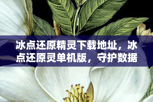 冰点还原精灵下载地址,冰点还原灵单机版,守护数据安全的高效工具 冰点还原精灵下载地址,冰点还原灵单机版,守护数据安全的高效工具